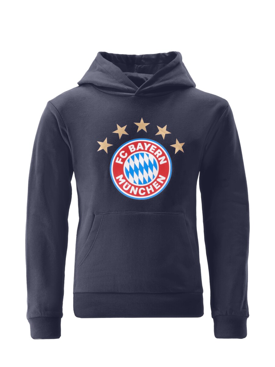 

Худи FC BAYERN MÜNCHEN Sweatshirt FC Bayern München, темно-синий