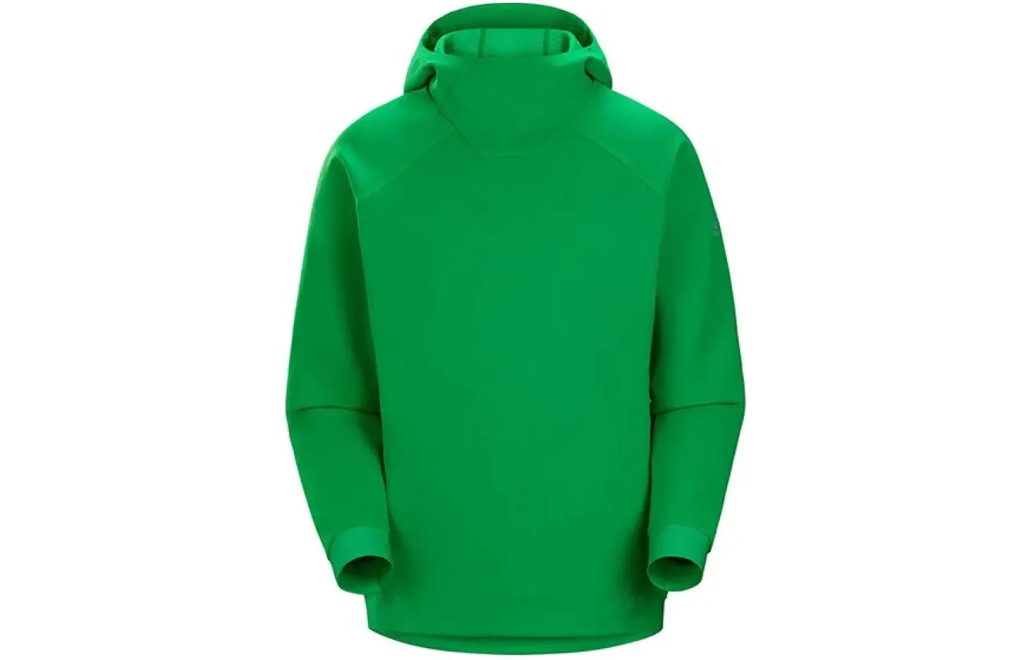 Толстовка RETHEL HOODY Arcteryx, forest зеленый/jungle