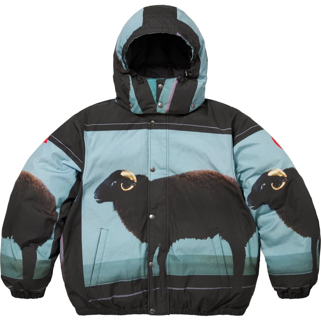 

Supreme Пуховик Damien Hirst, Black