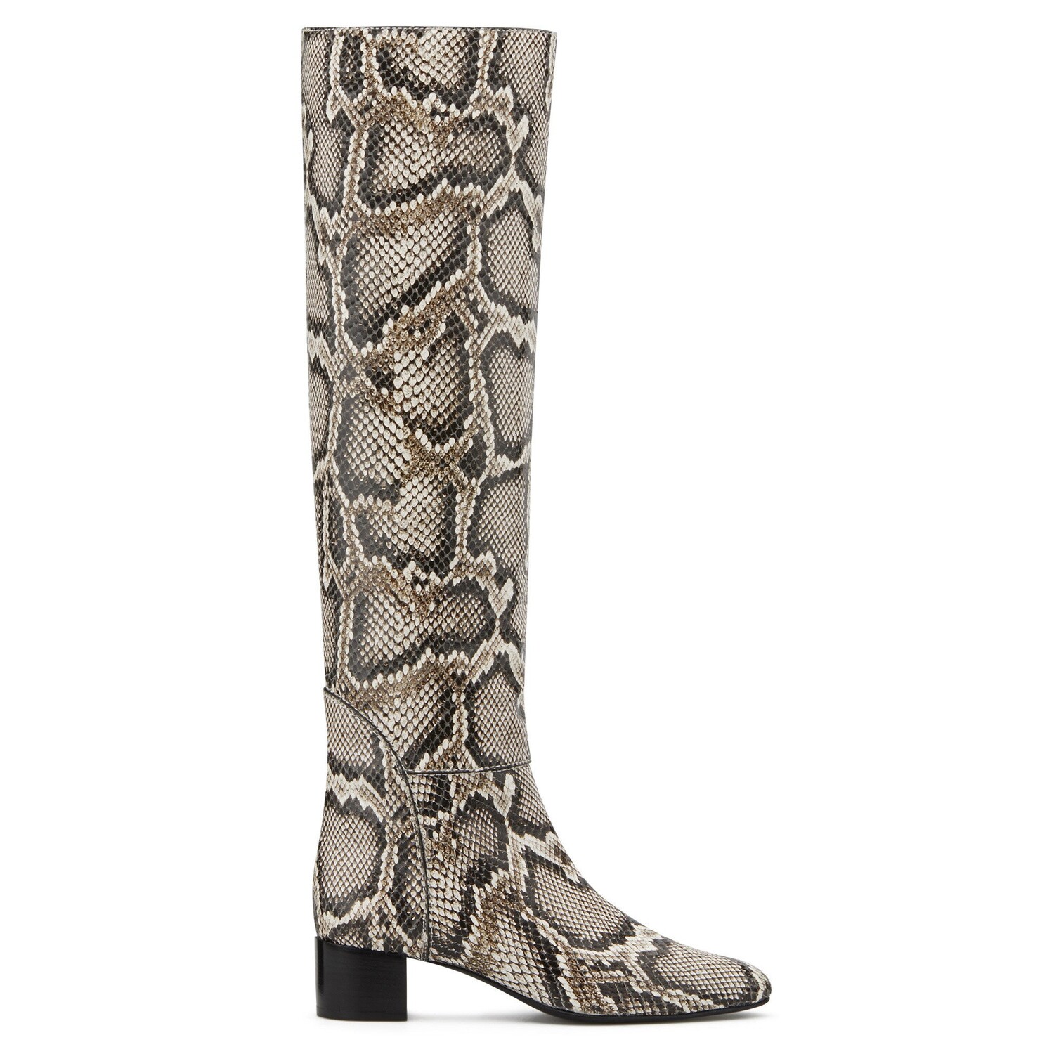 Джузеппе Занотти Дорин Giuseppe Zanotti, мультиколор