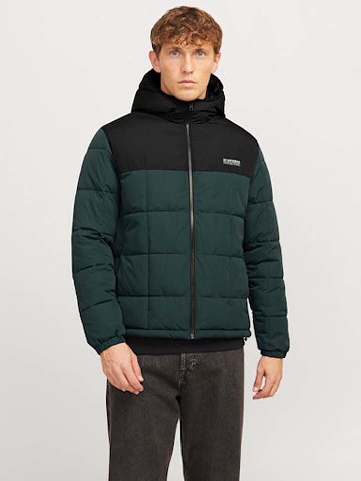 

Зимняя куртка Jack & Jones Winterjacke, цвет Schwarz/Dunkelgrün