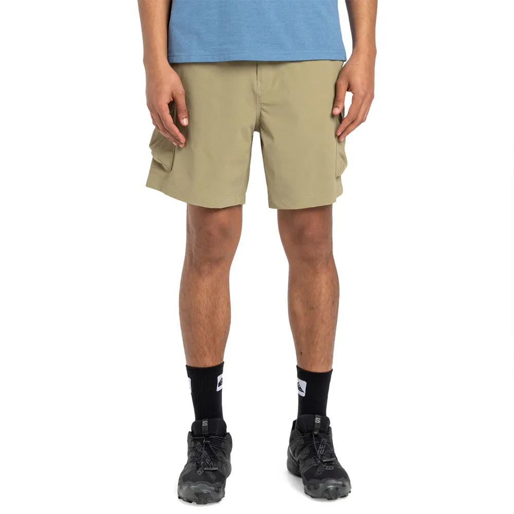 

Шорты Quiksilver Run Ashore cargo, бежевый