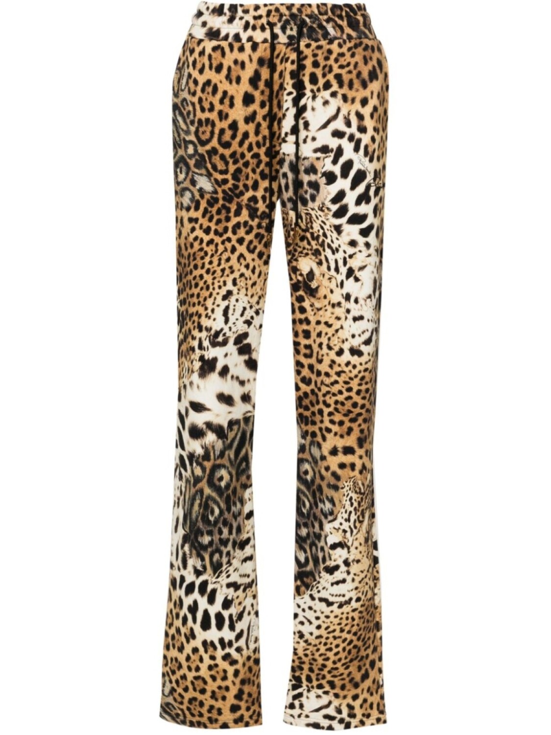 

Спортивные брюки с принтом Jaguar Skin Roberto Cavalli, бежевый