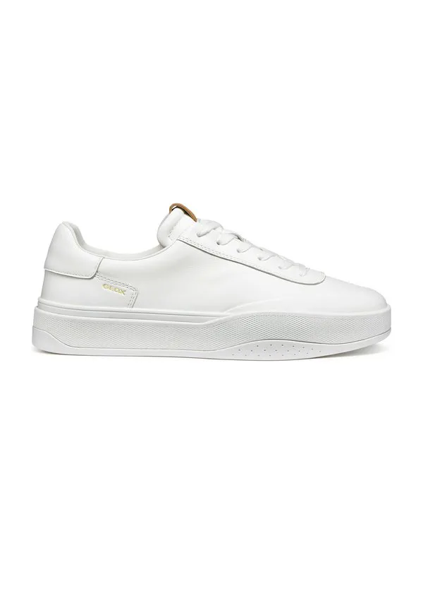 Низкие кроссовки dynamia Geox, White