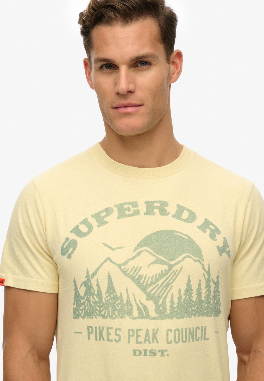 Футболка с принтом LO-FI OUTDOOR MONO RELAXED Superdry, желтый — фото 3