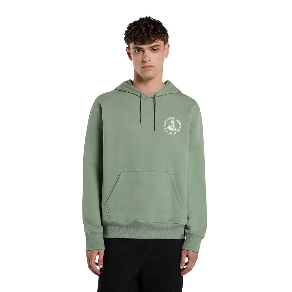 

Худи Dickies Parrotsville, зеленый