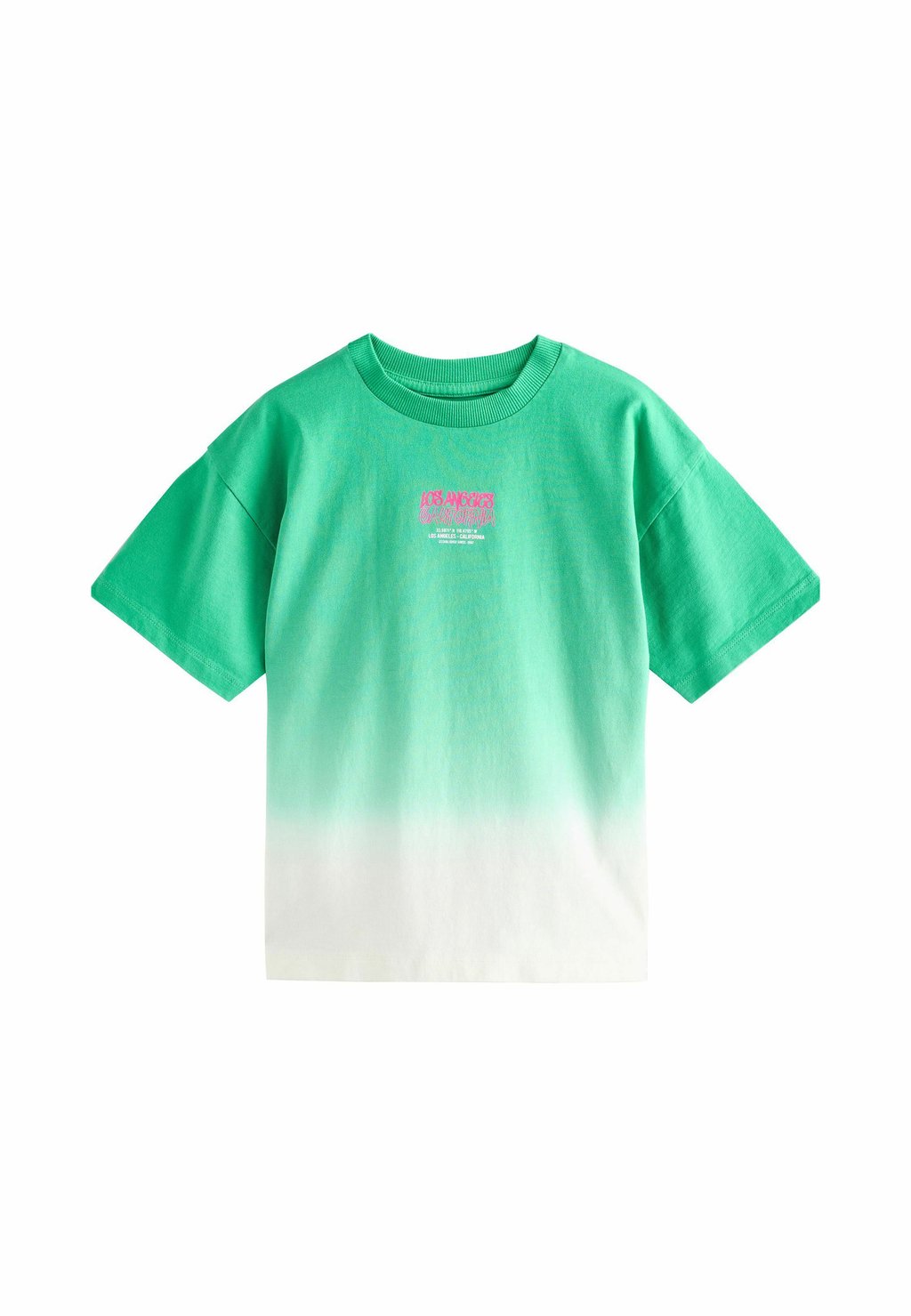 

Футболка с принтом RELAXED FIT TIE DYE GRAPHIC SHORT SLEEVE Next, зеленый