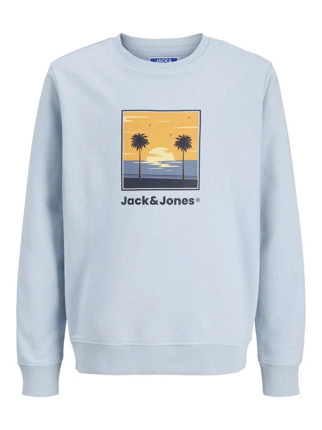 Свитшот с принтом JACK & JONES Junior, небесно-голубой