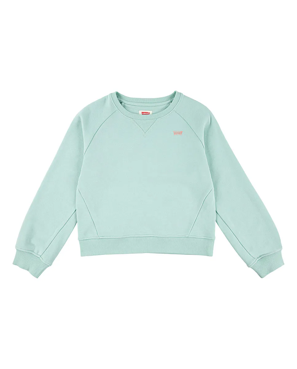 

Футболка Levi's Silicone Batwing для девочек с круглым вырезом, зеленый
