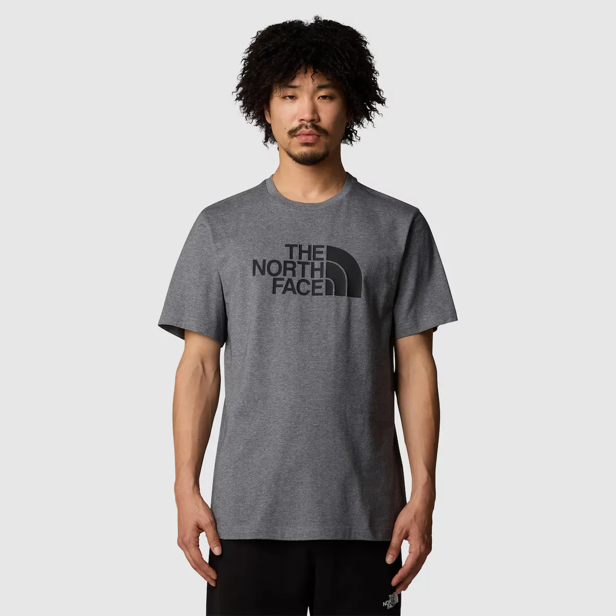 

Easy The North Face мужская футболка, серый