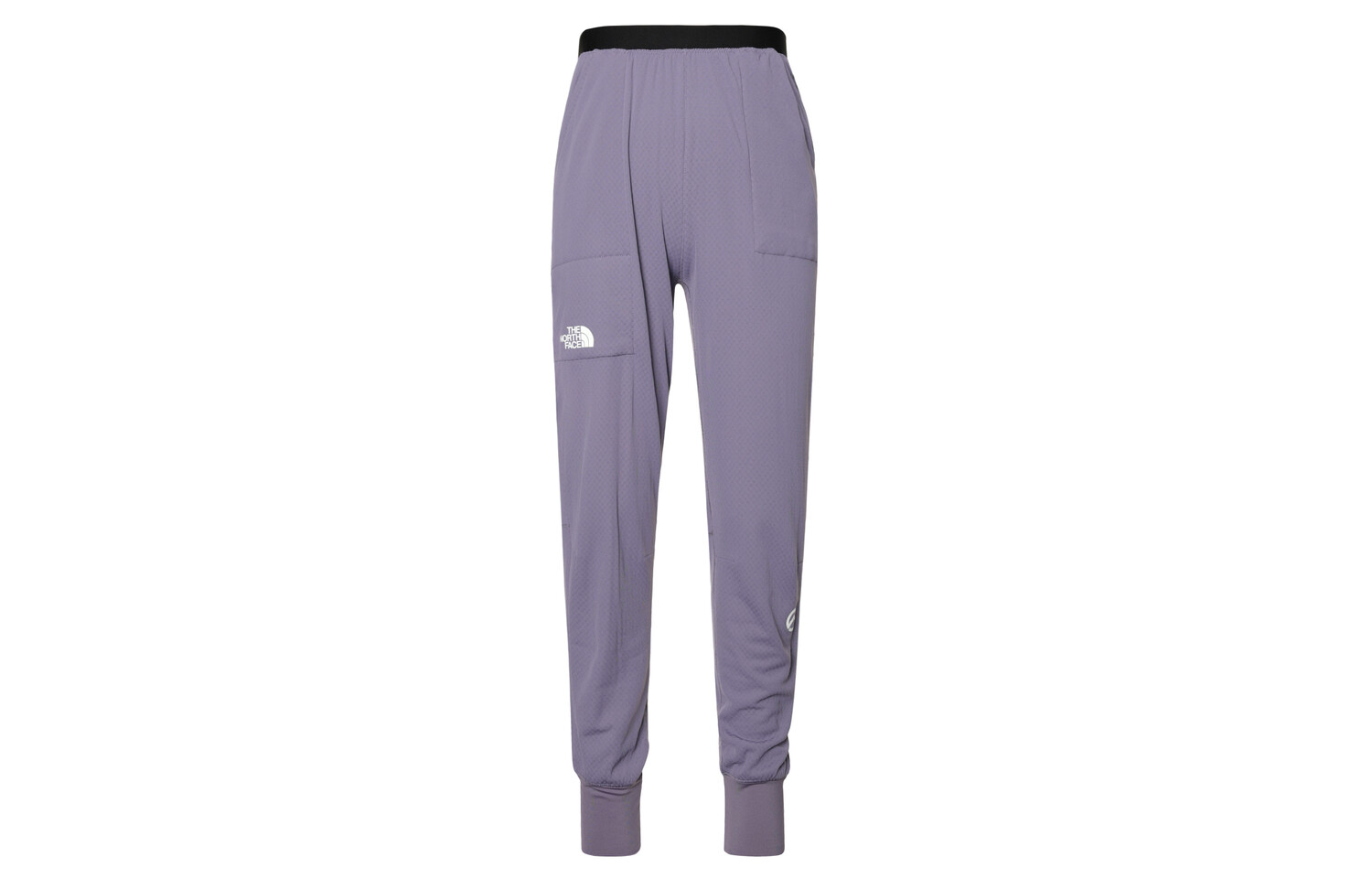 

Повседневные брюки женские фиолетовые The North Face