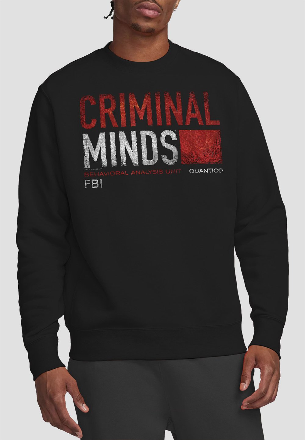 

Толстовка CRIMINAL MINDS TITLE CARD Cotton Soul, черный