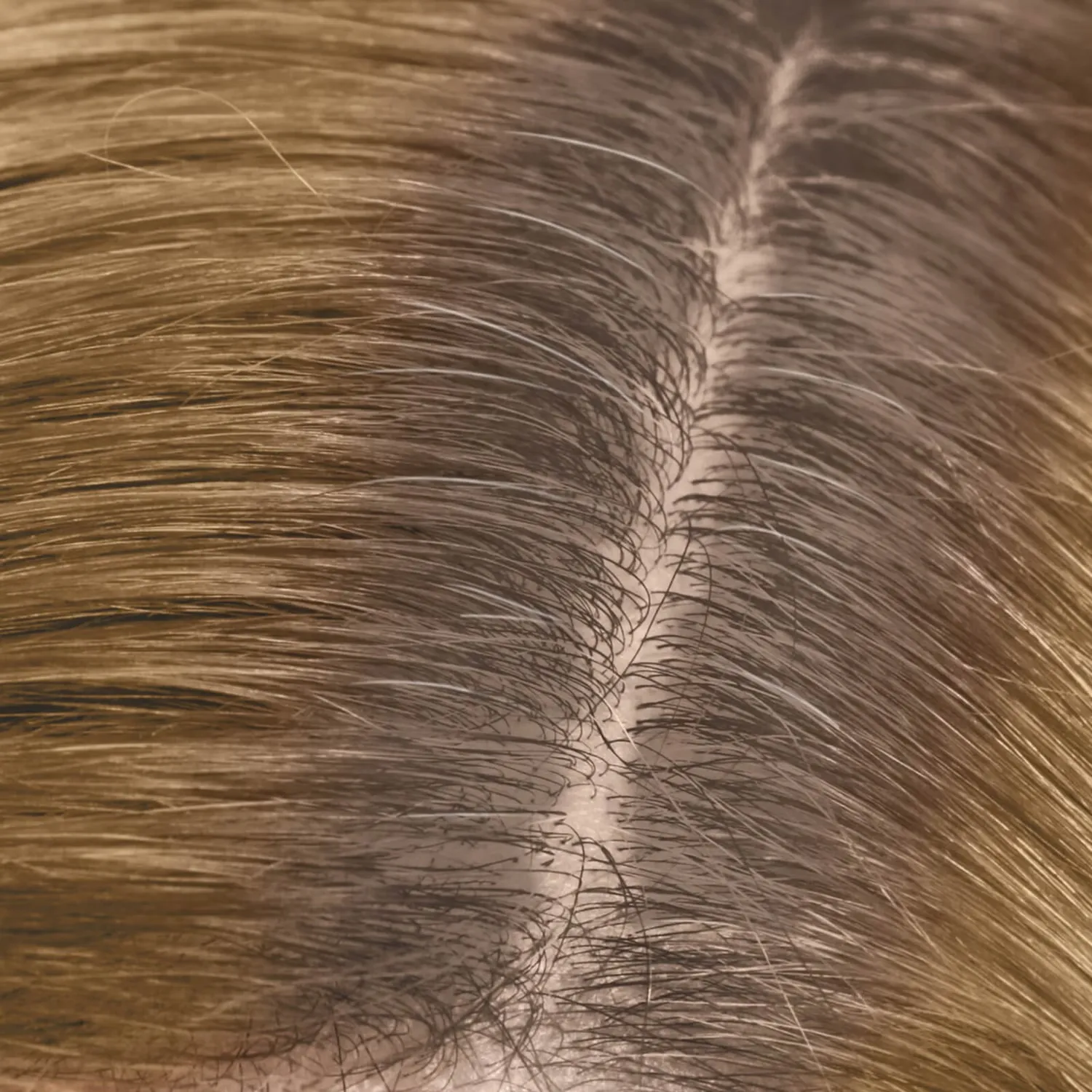 Dualsenses Color Revive Root Touch Up Светлый Блонд 3,7 г Goldwell — фото 3