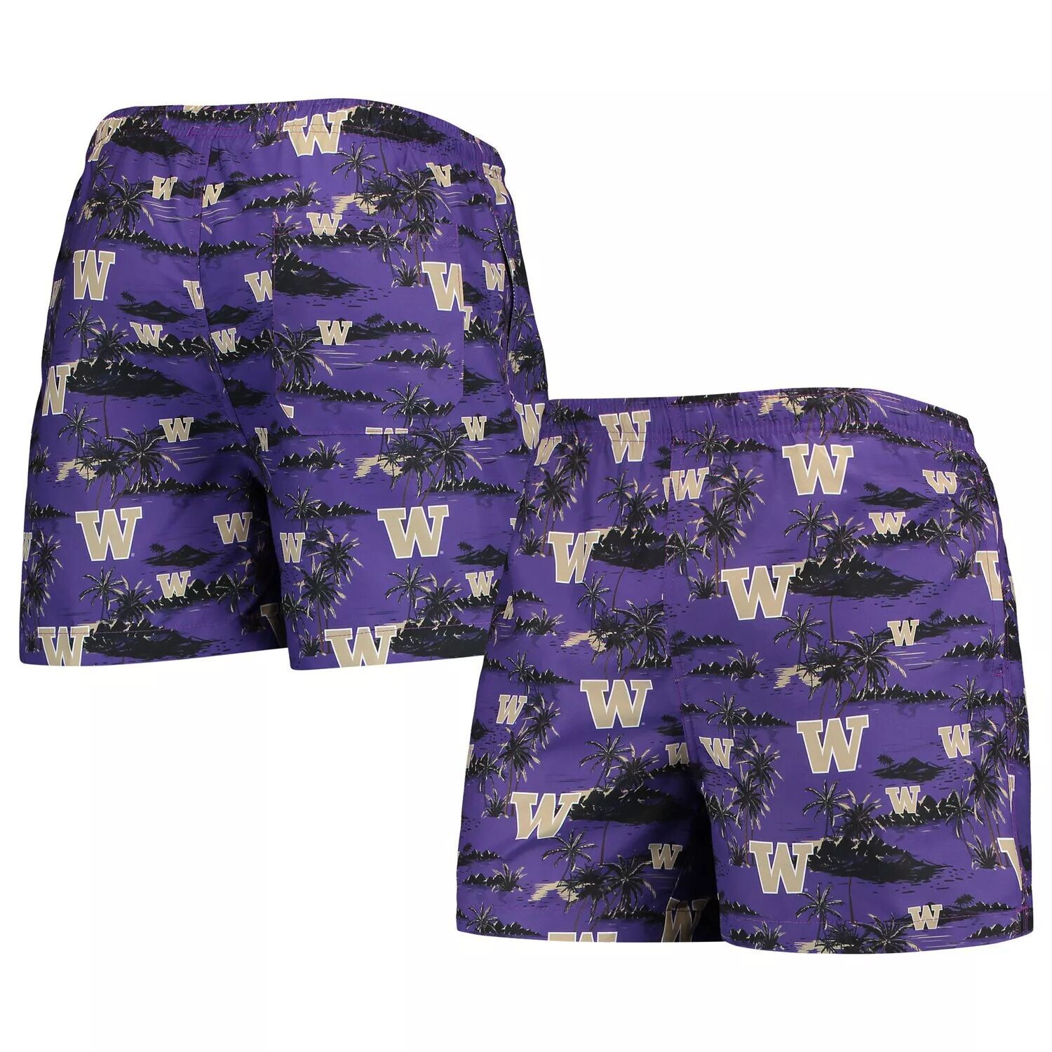 

Мужские плавки FOCO Purple Washington Huskies Island Palm