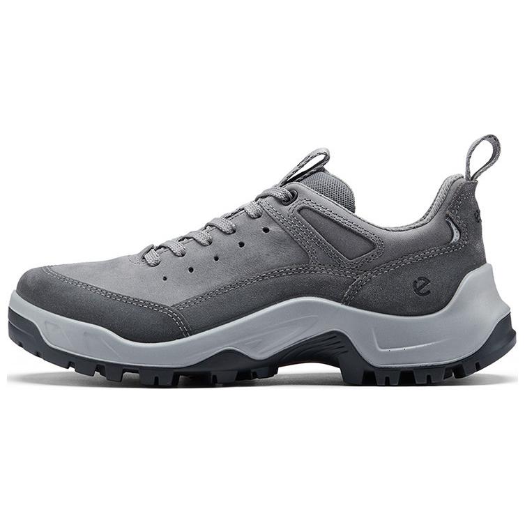 

Низкие повседневные туфли мужские серые Ecco, Gray