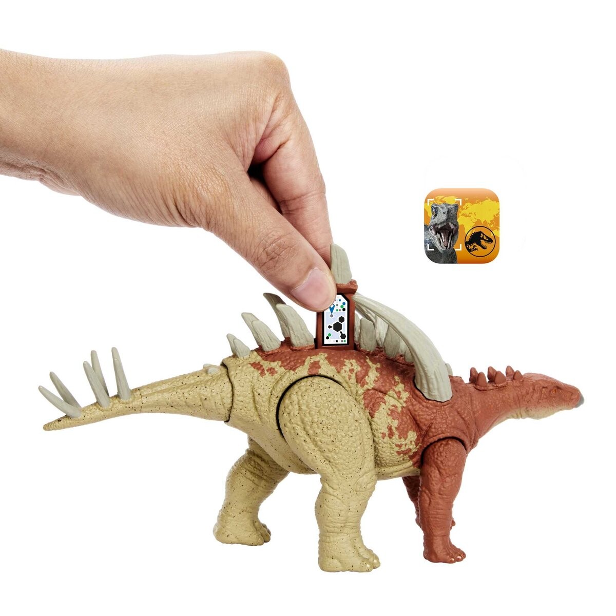 thumb