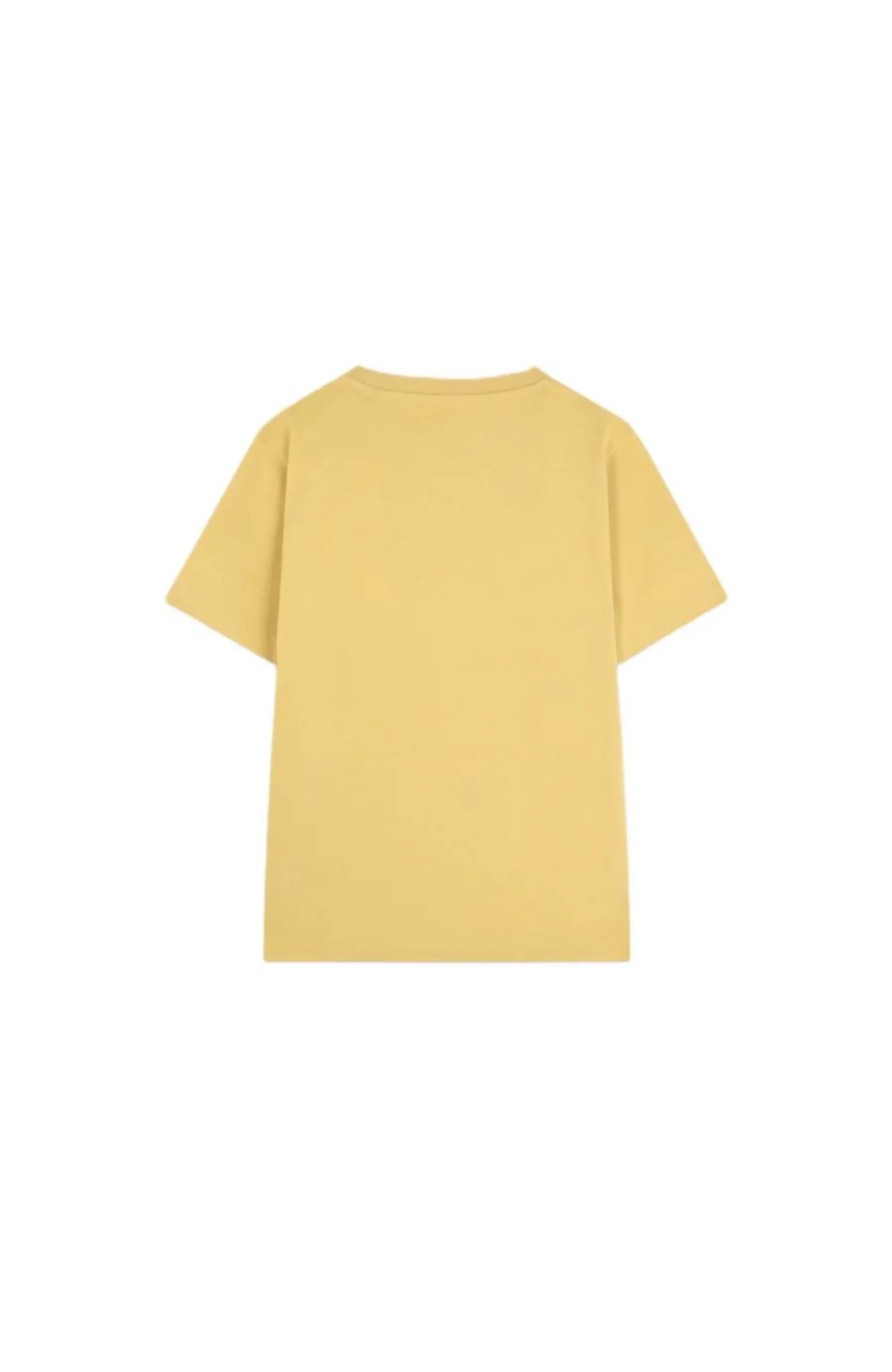 Футболка Big Boys Etnicskull Scalpers, Mustard — фото 2