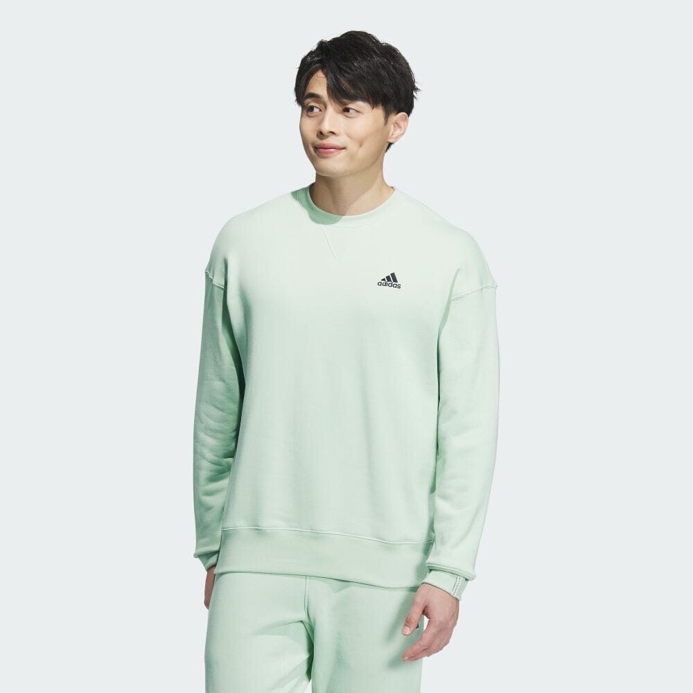 

Толстовка Adidas Essentials Plus Loose Fit Small Logo French Terry Sweatshirt, цвет Linen Green