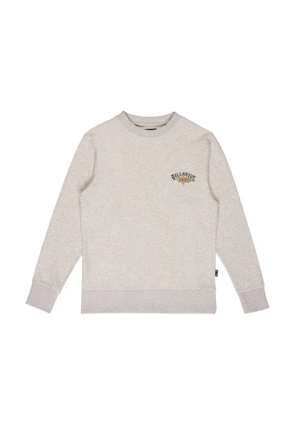 Толстовка Billabong Foundation (wbl), светло-серый