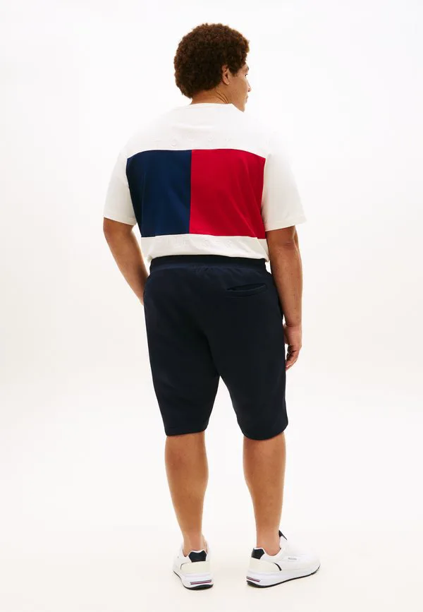 Плюс вышивка флага, махровые спортивные шорты, спортивные штаны Tommy Hilfiger, Desert Sky — фото 3