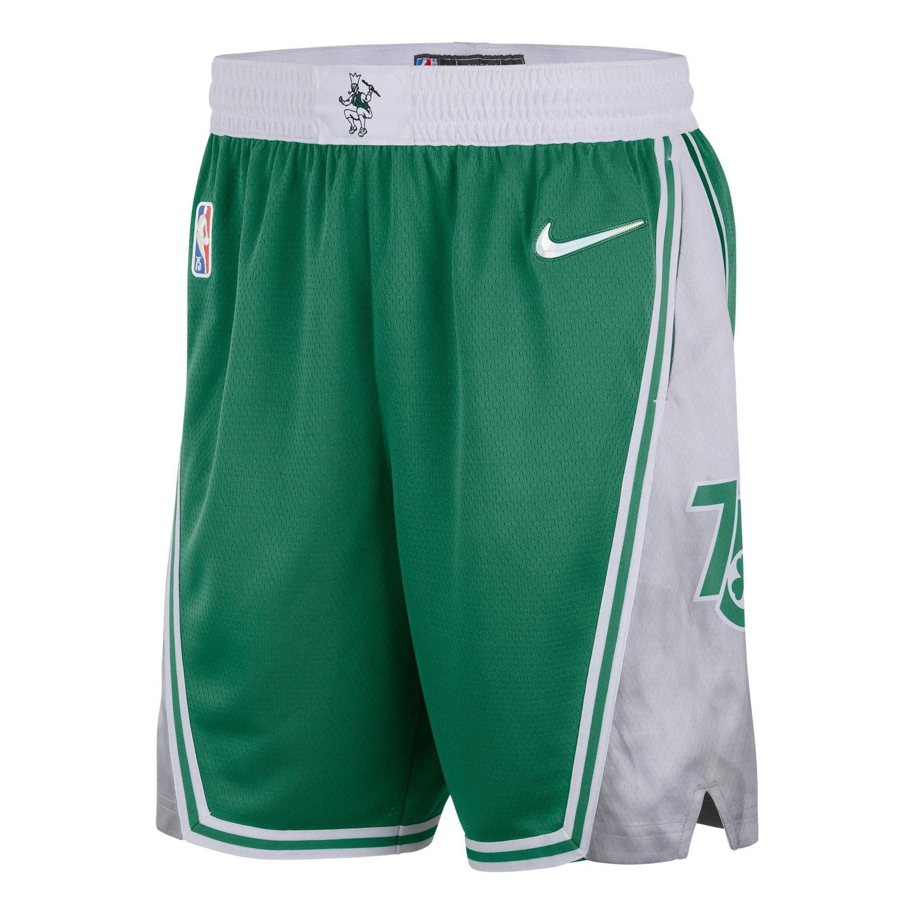 

Шорты Men's Nike Boston Celtics Colorblock Straight Shorts Green DB4127-312
