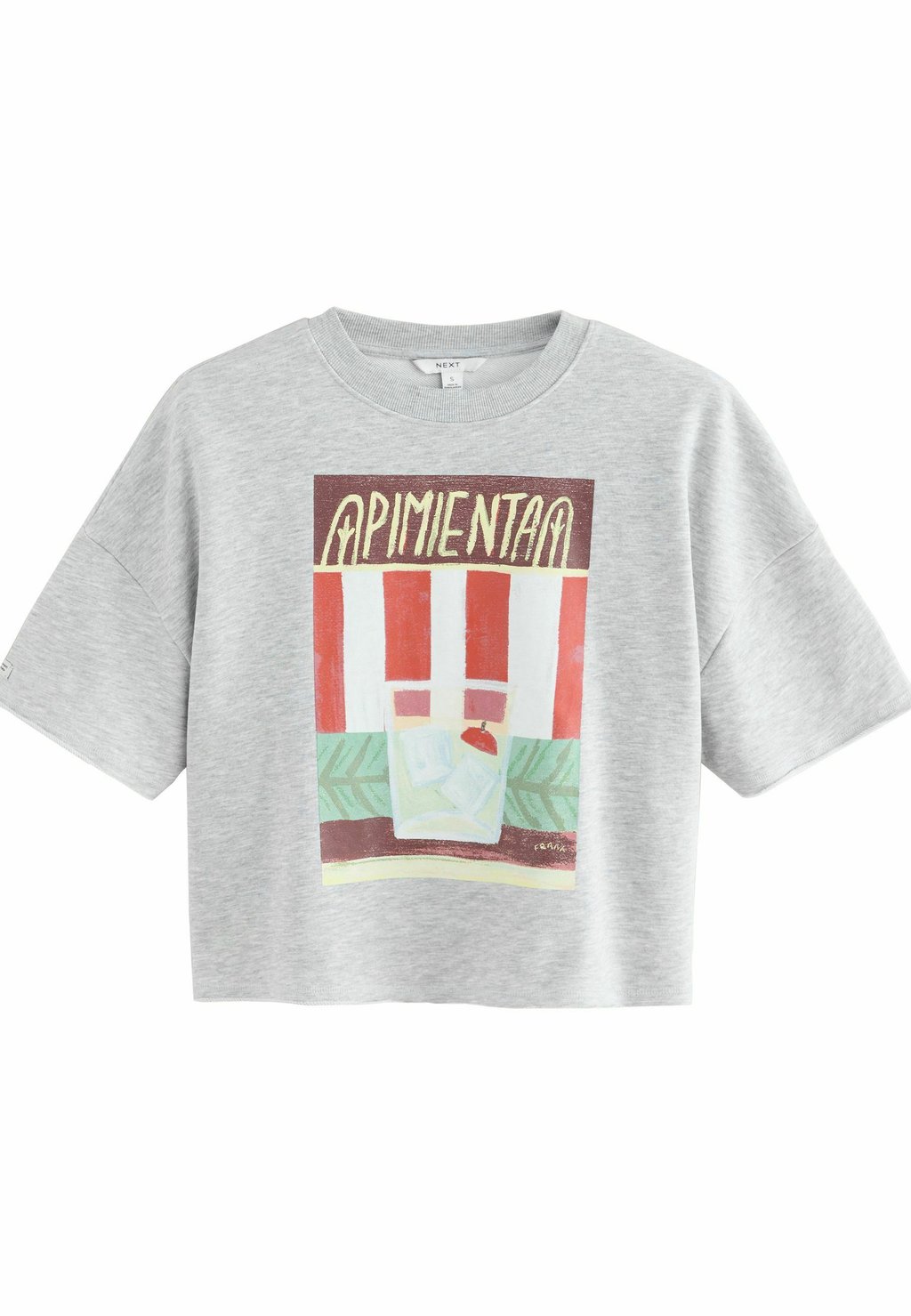 

Футболка с принтом HAND PAINTED PIMIENTA Next, серый