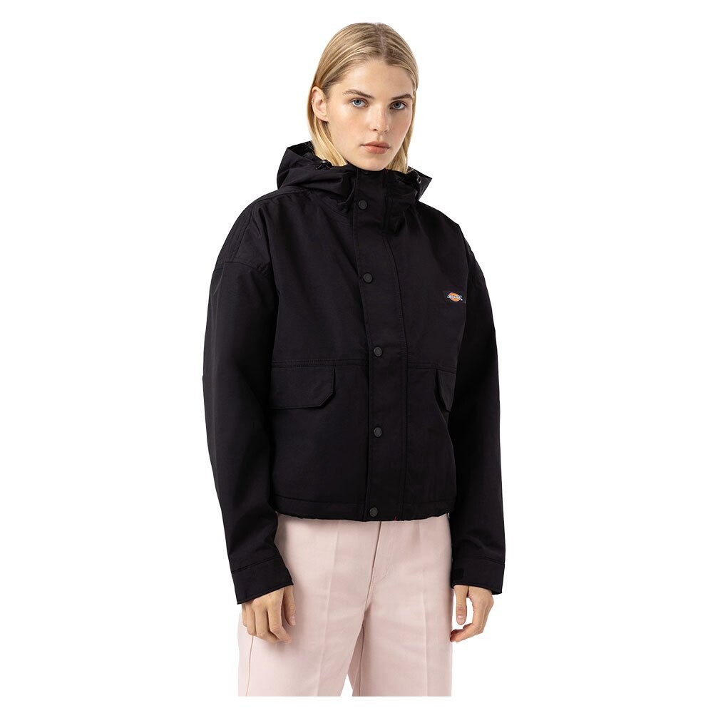

Куртка Dickies Glacier View, черный