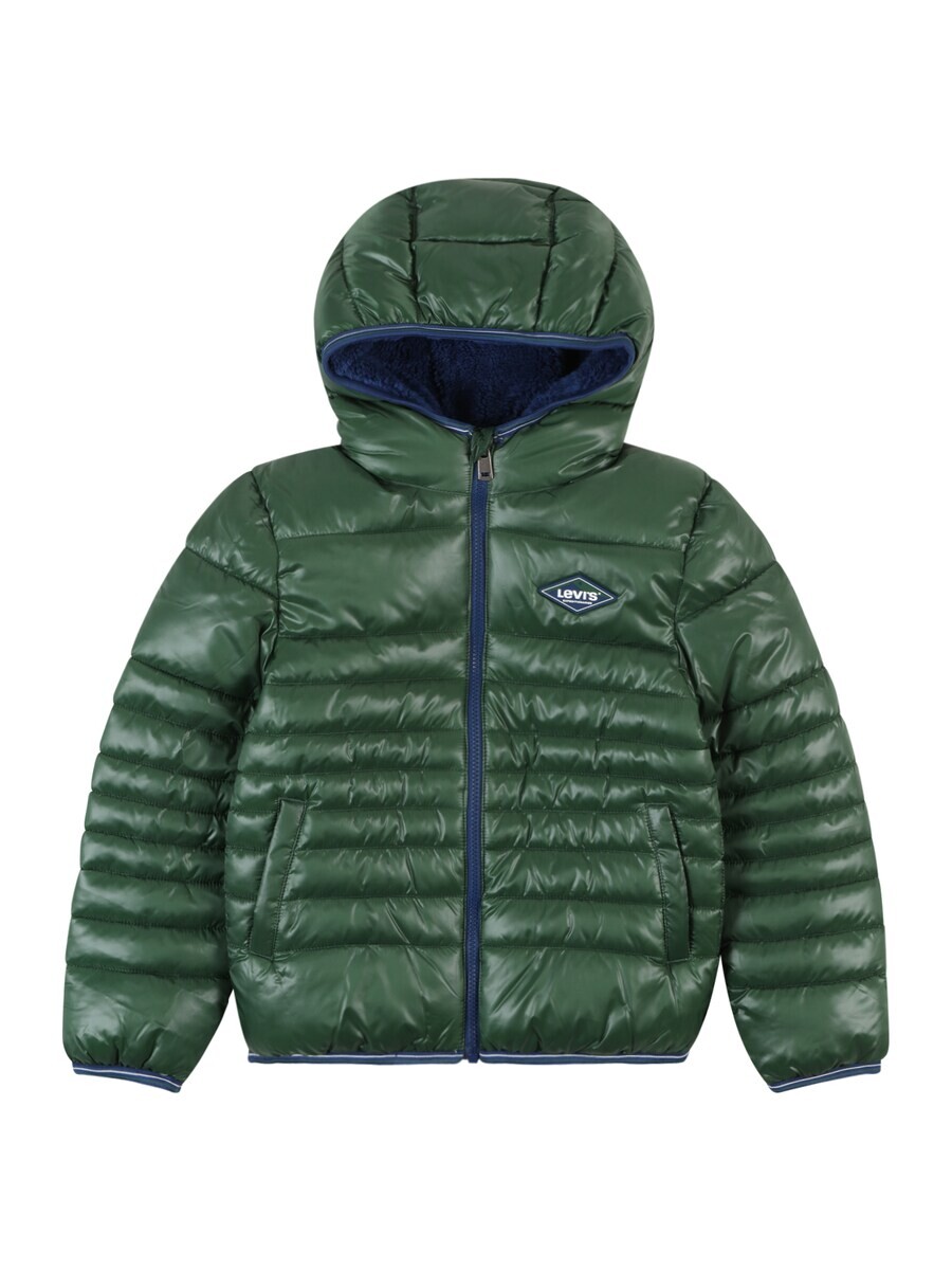 

Куртка Levis Kids Winter, темно-зеленый