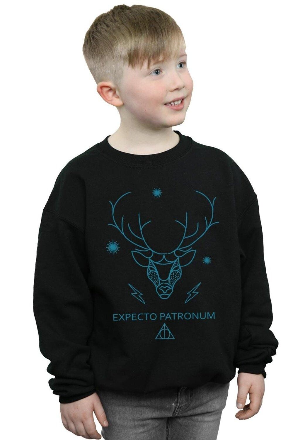 

Толстовка Expecto Patronum Harry Potter, черный