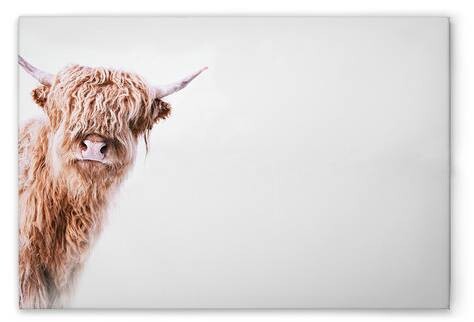 

Картина на холсте A.S. Création Highland Cattle 2 цвет weissbraunbeige
