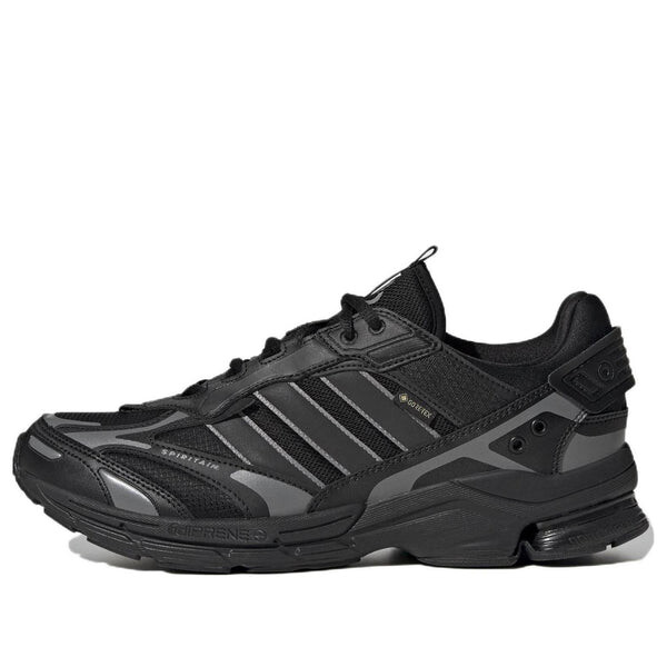 

Кроссовки spiritain 2000 gore tex Adidas, черный