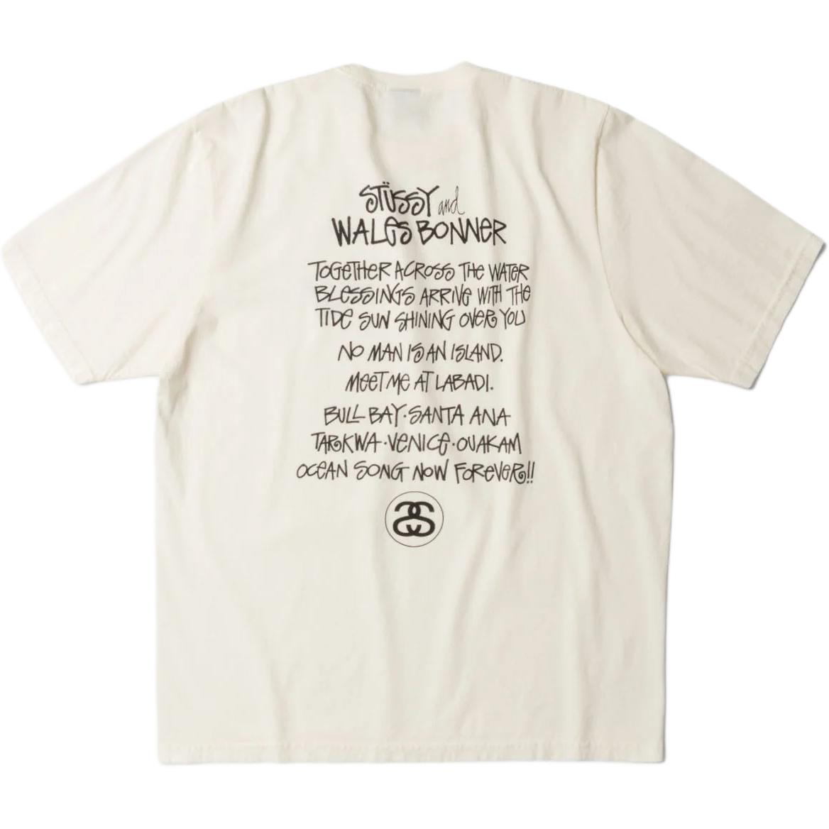 Wales Bonner Co brand FW25 OCEAN SONG TEE футболка Unisex Stussy, коричневый — фото 3