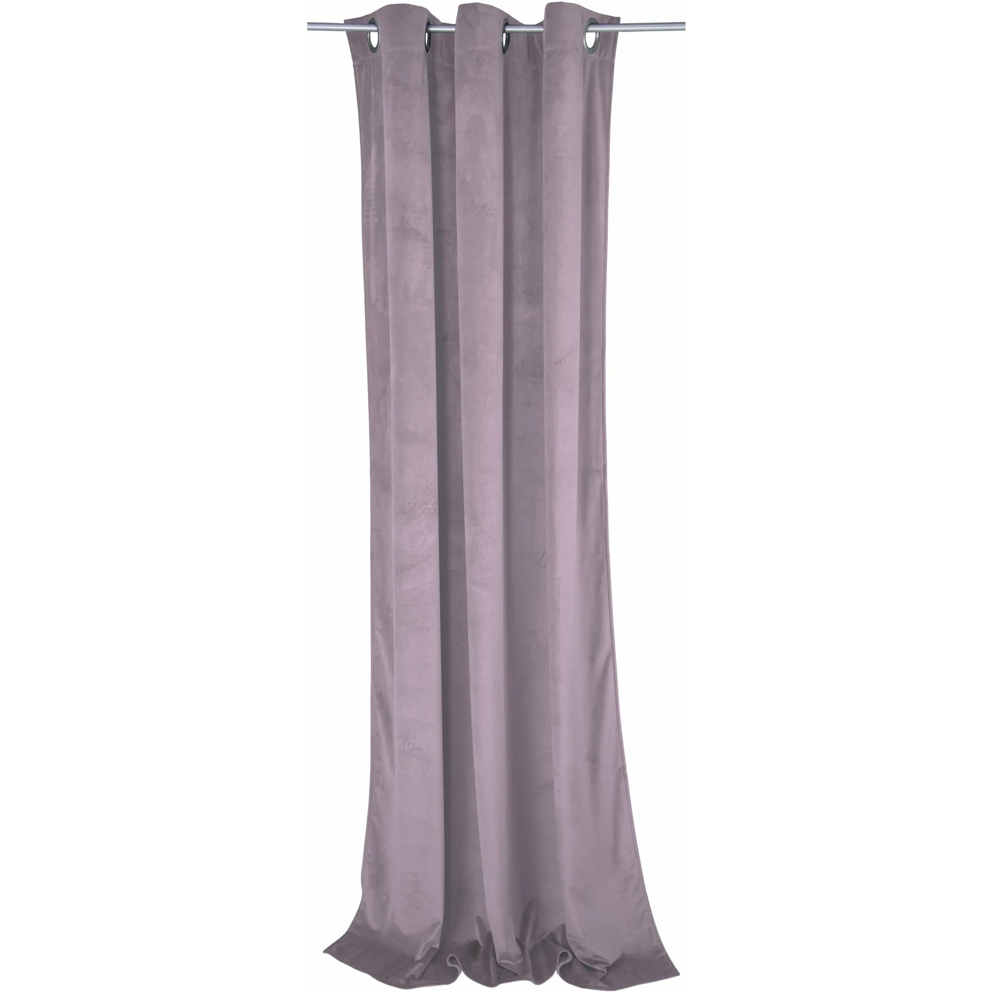 

TOM TAILOR HOME Гардина «ФРАНЦУЗСКИЙ БАРХАТ», (1 шт.), ВxШ: 245x135, цвет mauve