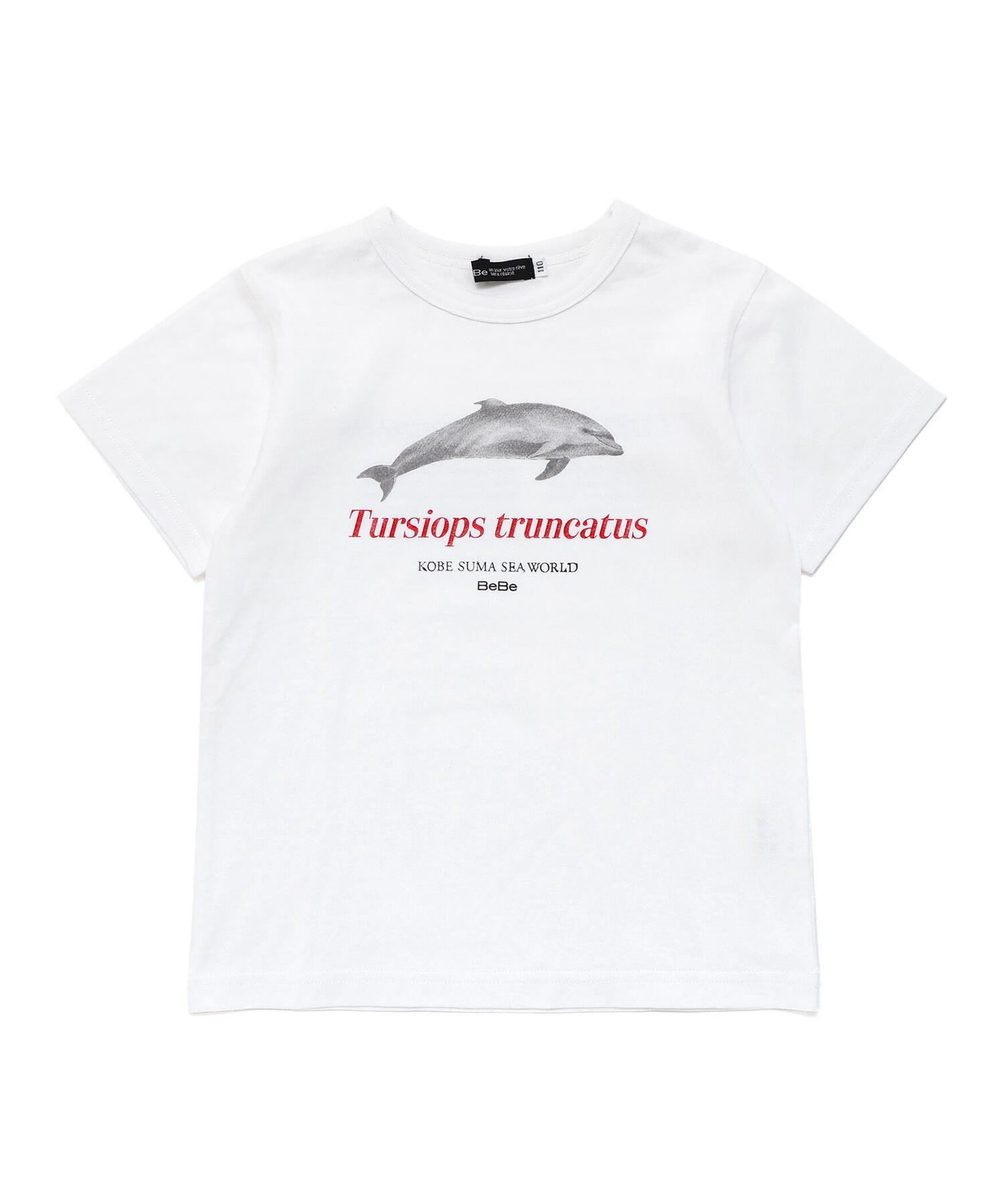 Футболка с коротким рукавом с изображением косатки и дельфина (80-140 см) BeBe, White — фото 4
