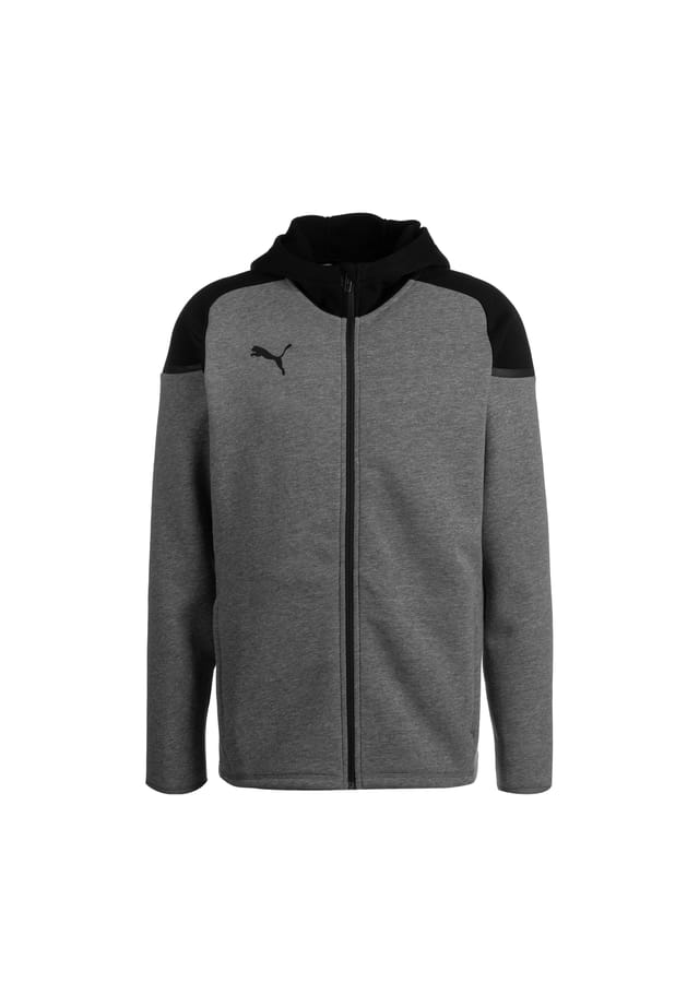 

Толстовка с капюшоном Teamcup casual Puma, мультиколор