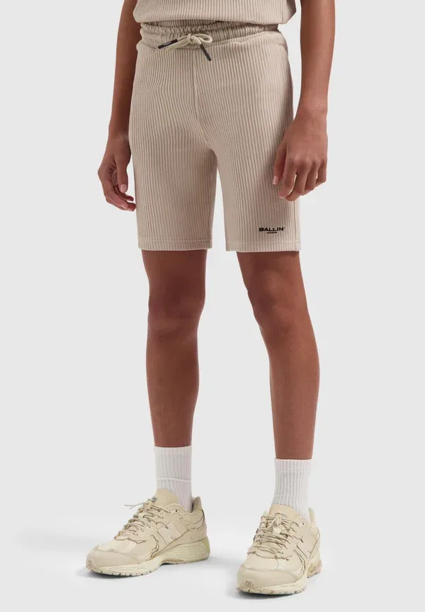 Спортивные шорты Regular fit Ballin, цвет серо-коричневый — фото 2