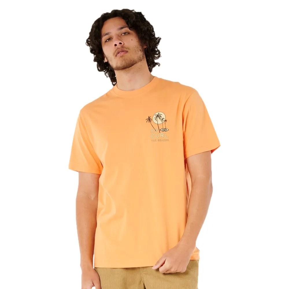 

Футболка с коротким рукавом Rip Curl Aots Cody Welsh Palms, оранжевый