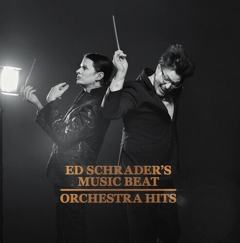 

Виниловая пластинка Ed Schrader's Music Beat: Orchestra Hits