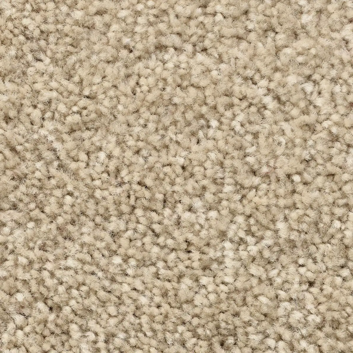 

Ковер Bodenmeister "Пегас велюровый ковер", прямоугольный, гостиная, спальня, детская, ширина 400/500 см 300х500 см, светло-бежевый