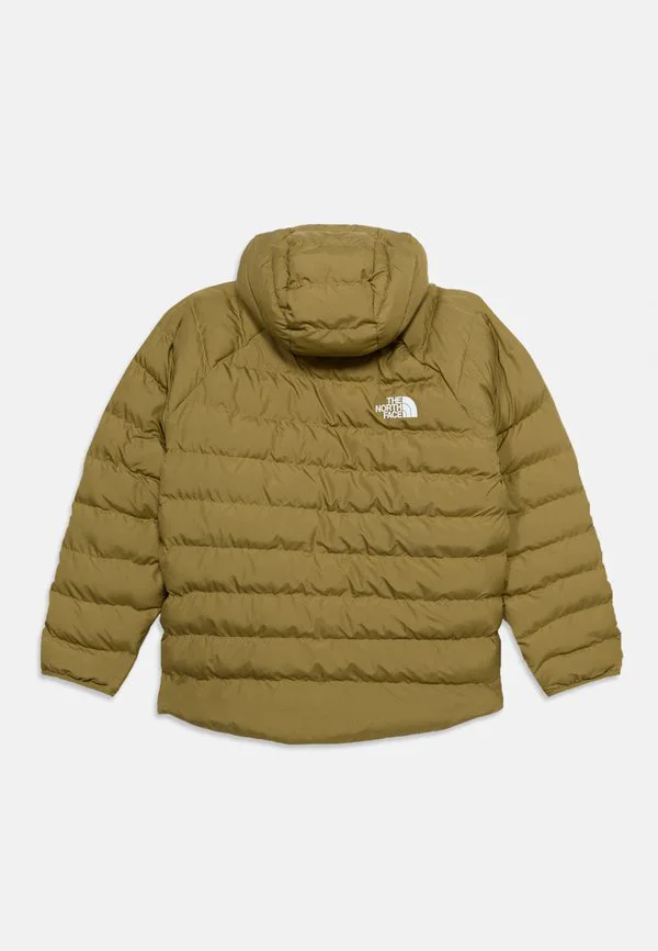 Куртка perrito с капюшоном, унисекс, зимняя куртка The North Face, Cedar/New Taupe Green — фото 2
