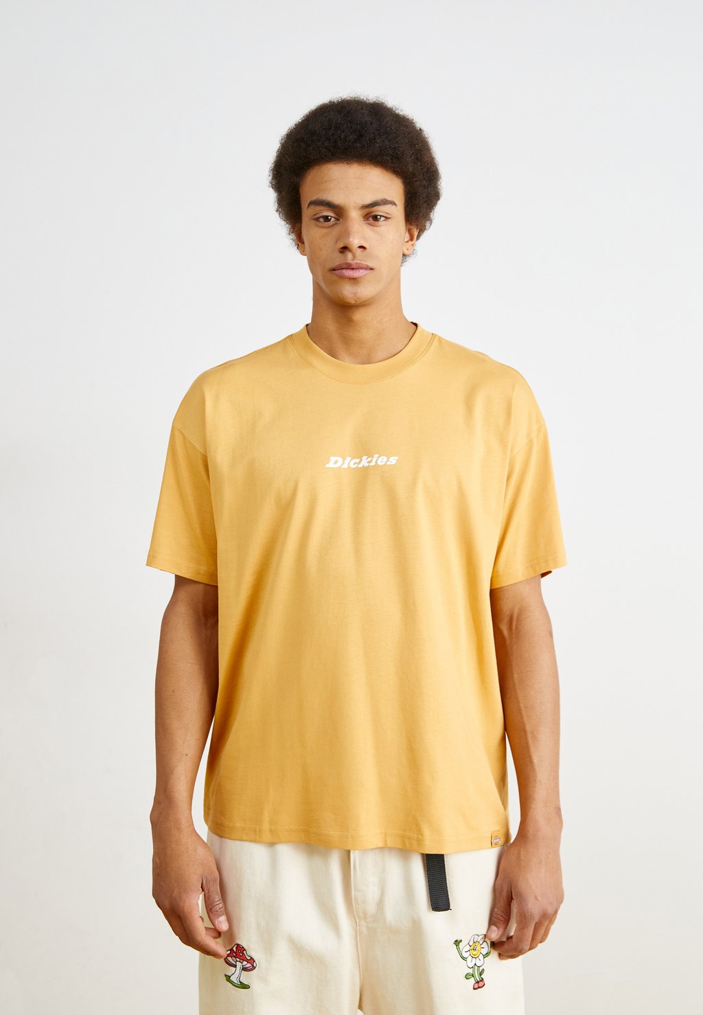 

Базовая футболка ENTERPRISE TEE Dickies, темно-зеленый