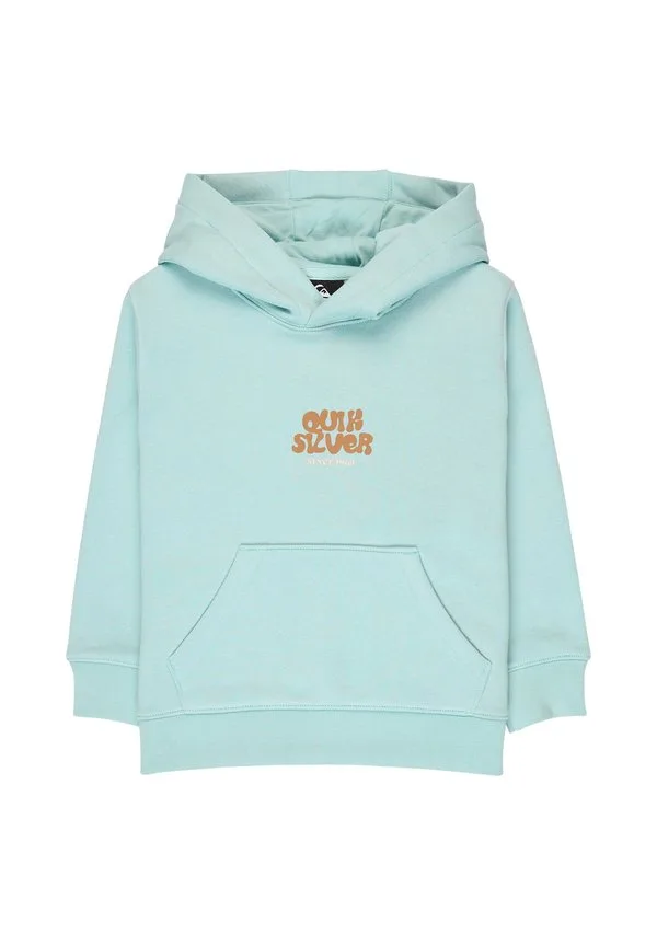 Худи с графическим принтом Quiksilver, Bga