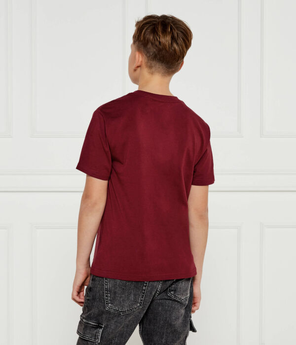 Футболка детская Polo Ralph Lauren с изображением собаки, бургундия — фото 3