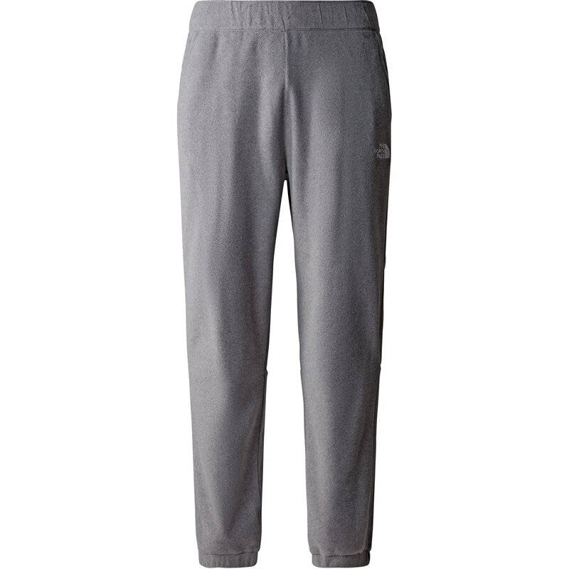 

Штаны m 100 glacier pant The North Face, серый