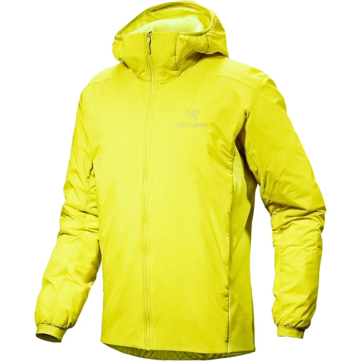 Куртка Arc'teryx Atom с капюшоном, Euphoria Green