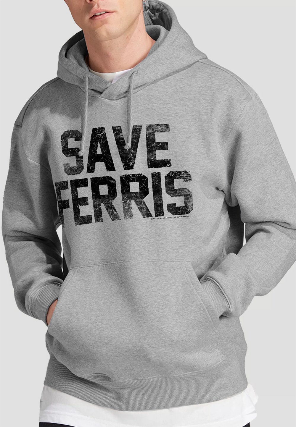 

Толстовка FERRIS BUELLER SAVE FERRIS Cotton Soul, серый