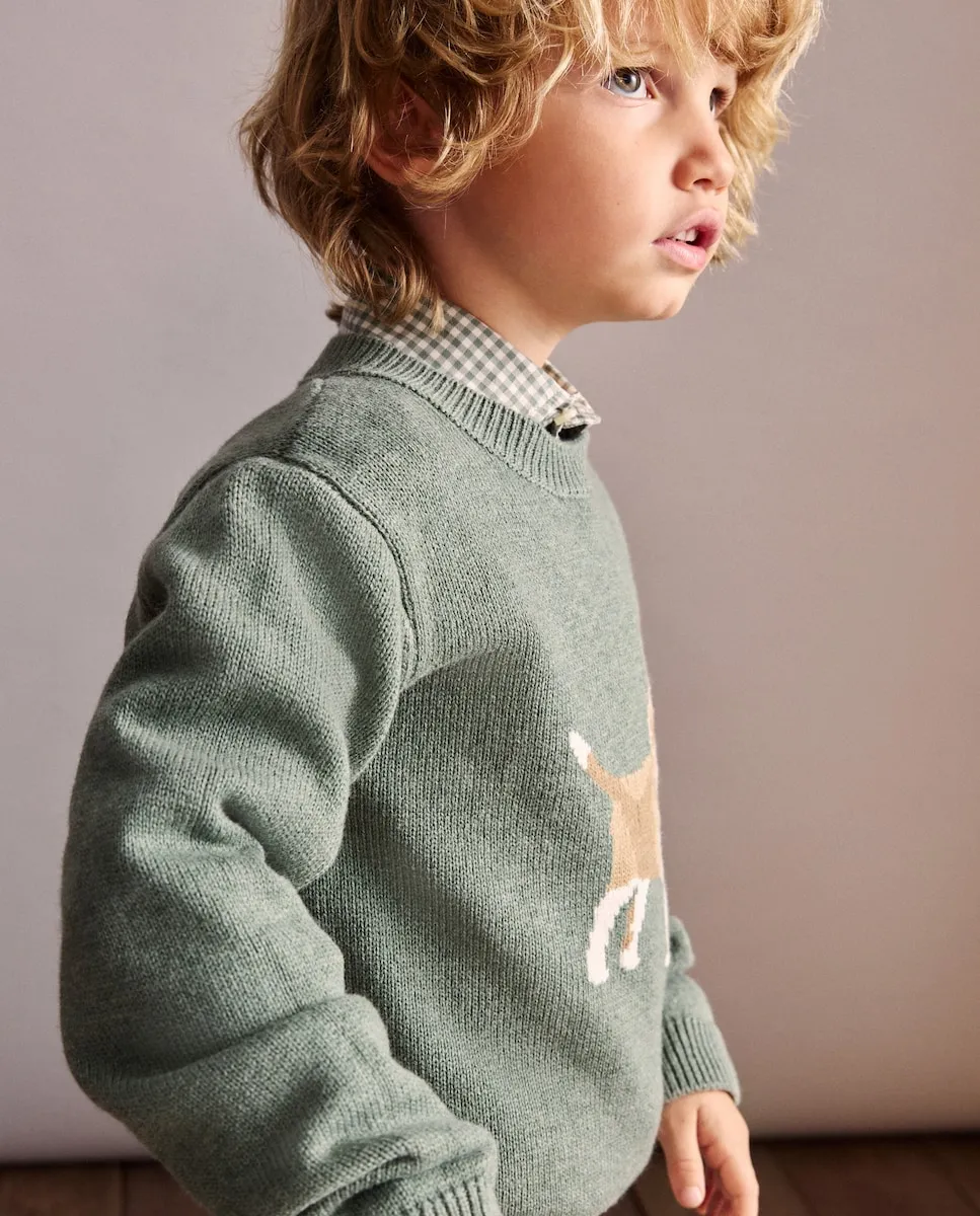 

Детский джемпер интарсия меланж с собакой санбернар Coconut El Corte Inglés, хаки