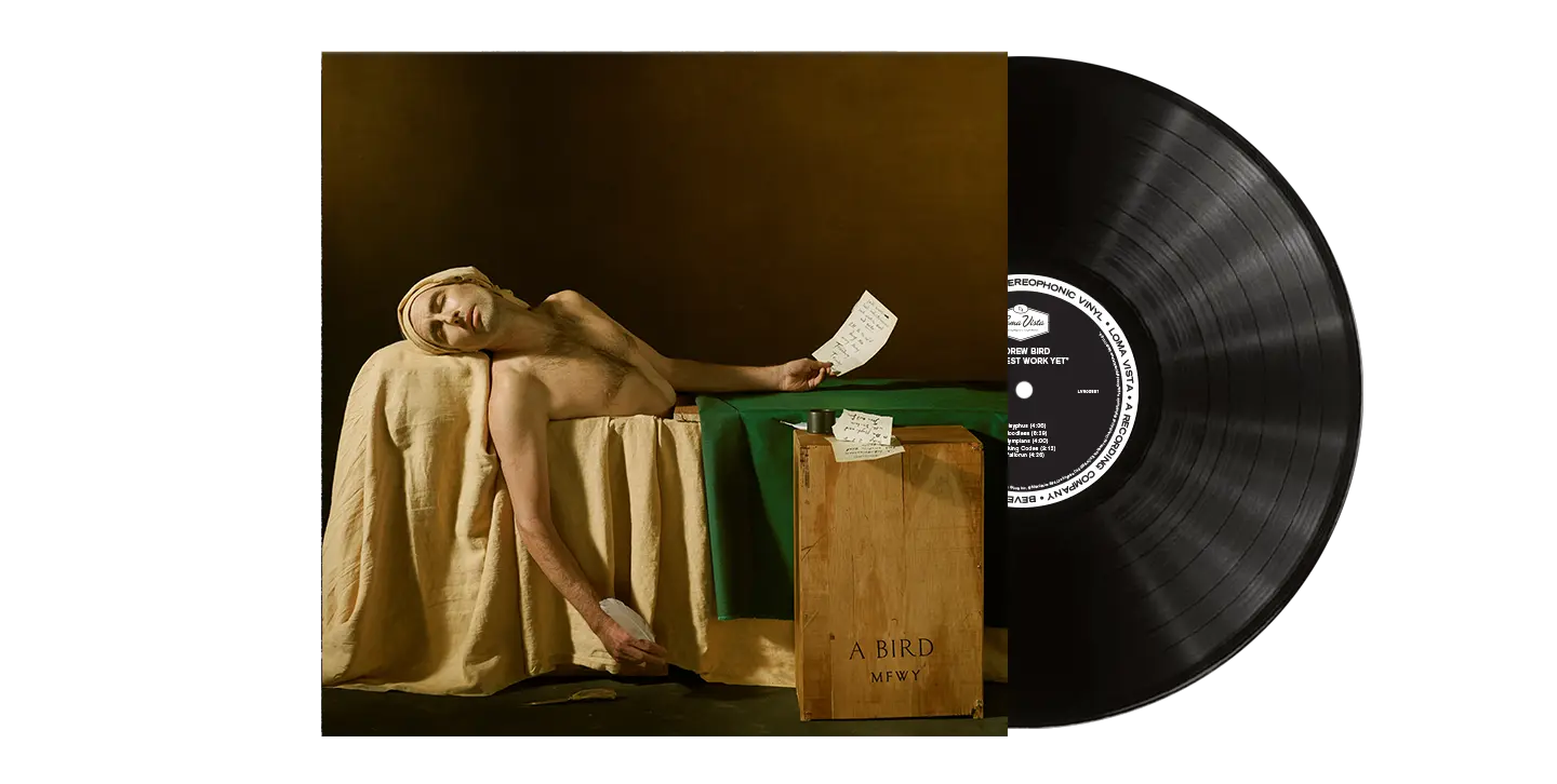 

Виниловая пластинка My finest work yet black lp Andrew Bird