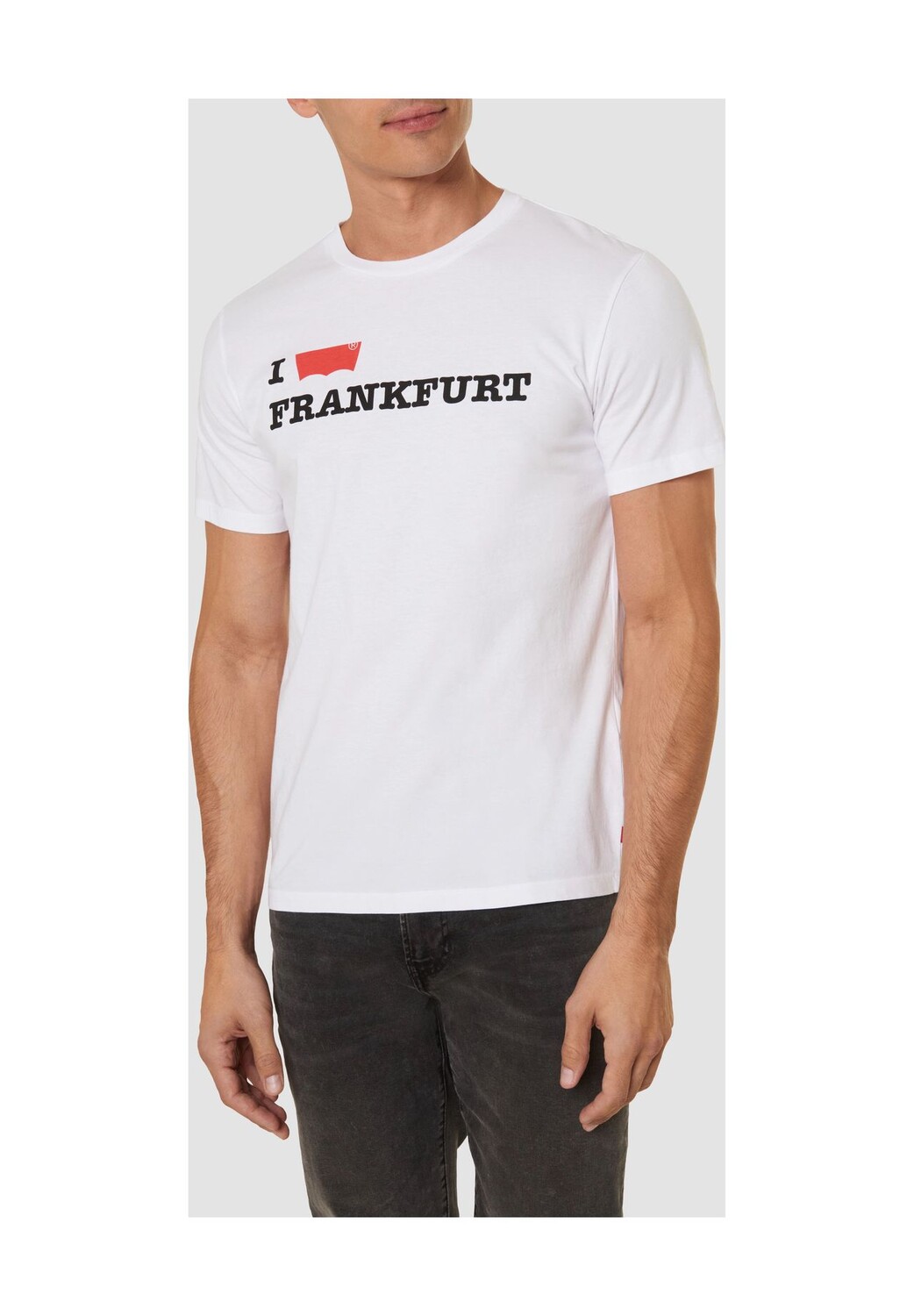 

Футболка Destination Levi Frankfurt, хлопок, круглый вырез, мужская Levi's