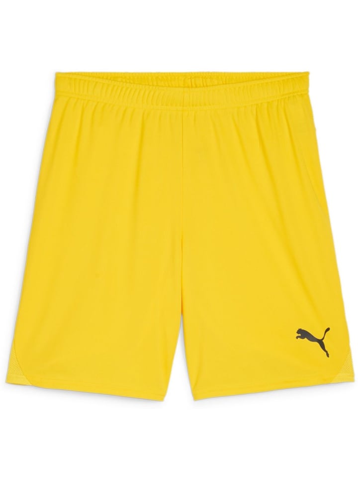 

Спортивные шорты TeamGoal Shorts желтого цвета Puma